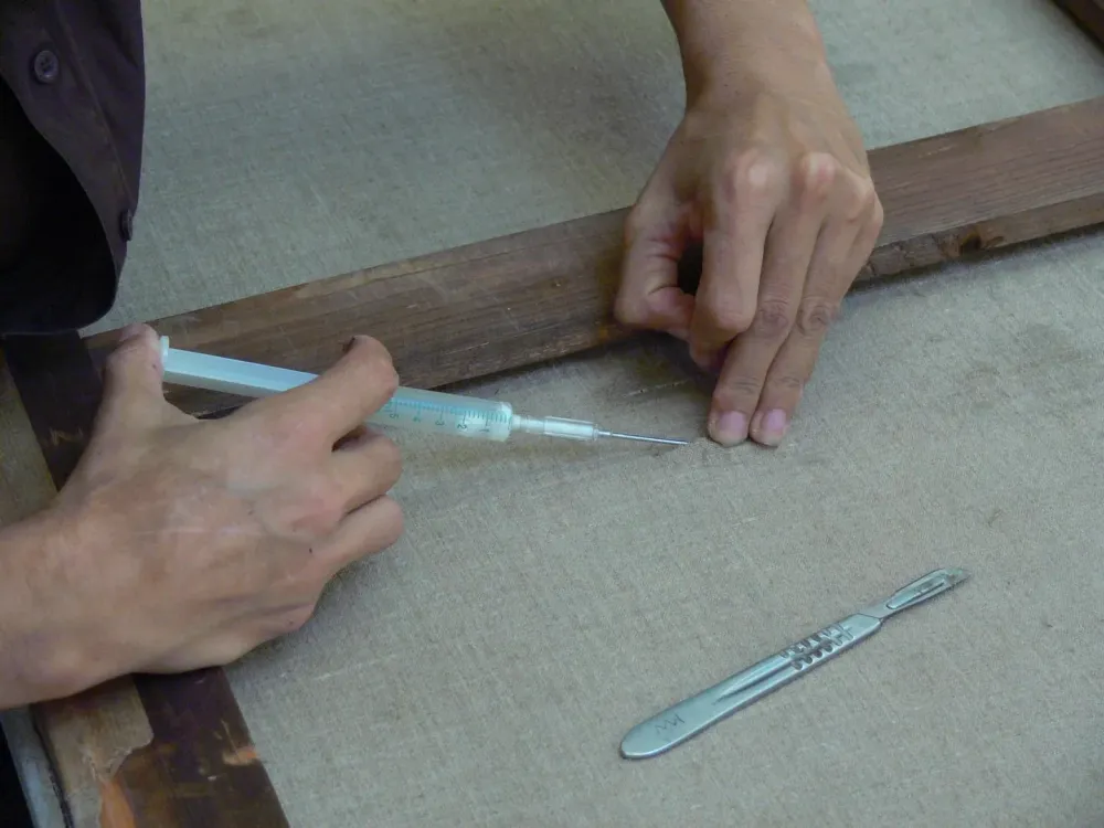 conservation (7)